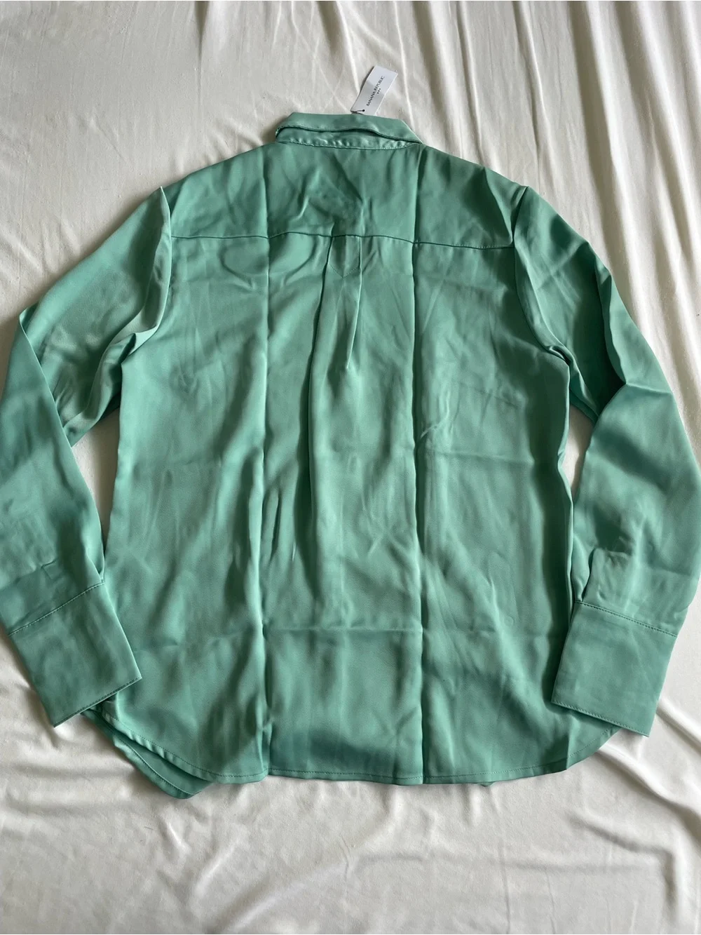 Banana Republic Mint Green Long-Sleeve Button-Up Shirt